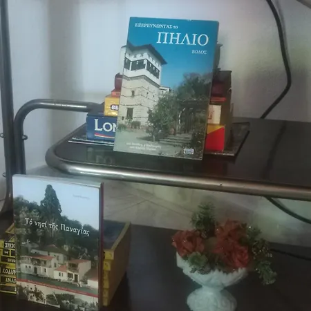 Traditional Cozy House *