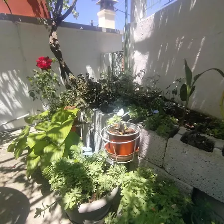 Traditional Cozy House