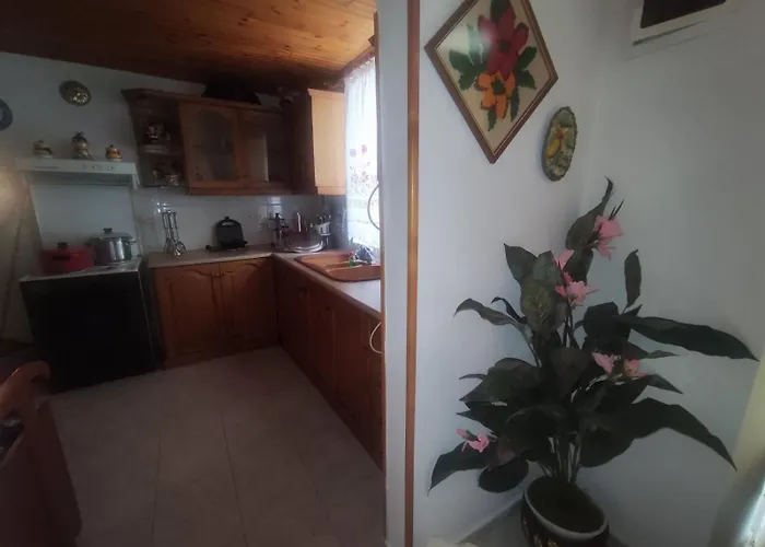 Traditional Cozy House