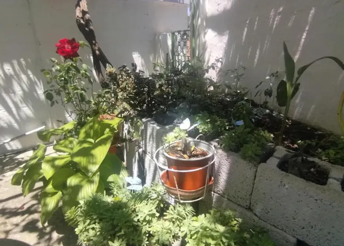 Traditional Cozy House