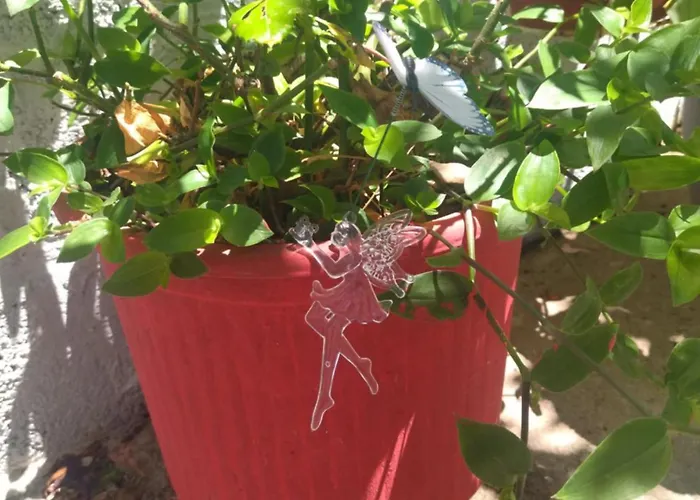 Traditional Cozy House Apartman