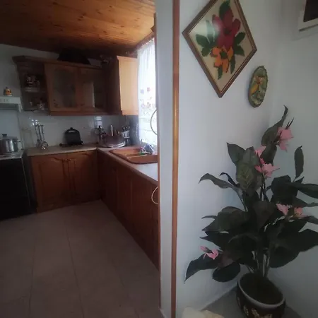 Traditional Cozy House