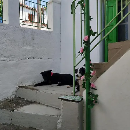 Lejlighed Traditional Cozy House Tríkeri