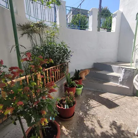 Traditional Cozy House Tríkeri