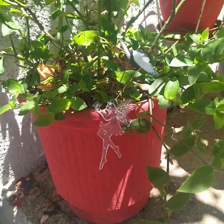 Traditional Cozy House Lejlighed