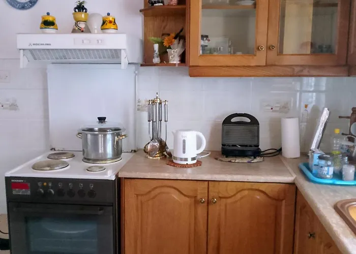 Traditional Cozy House