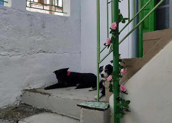 Apartment Traditional Cozy House Trikeri