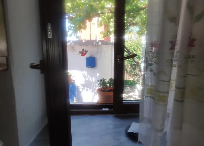 Traditional Cozy House