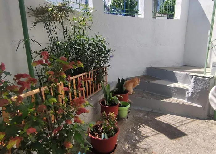 Traditional Cozy House Trikeri